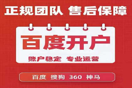 Sem优化公司成功案例：快速占领市场